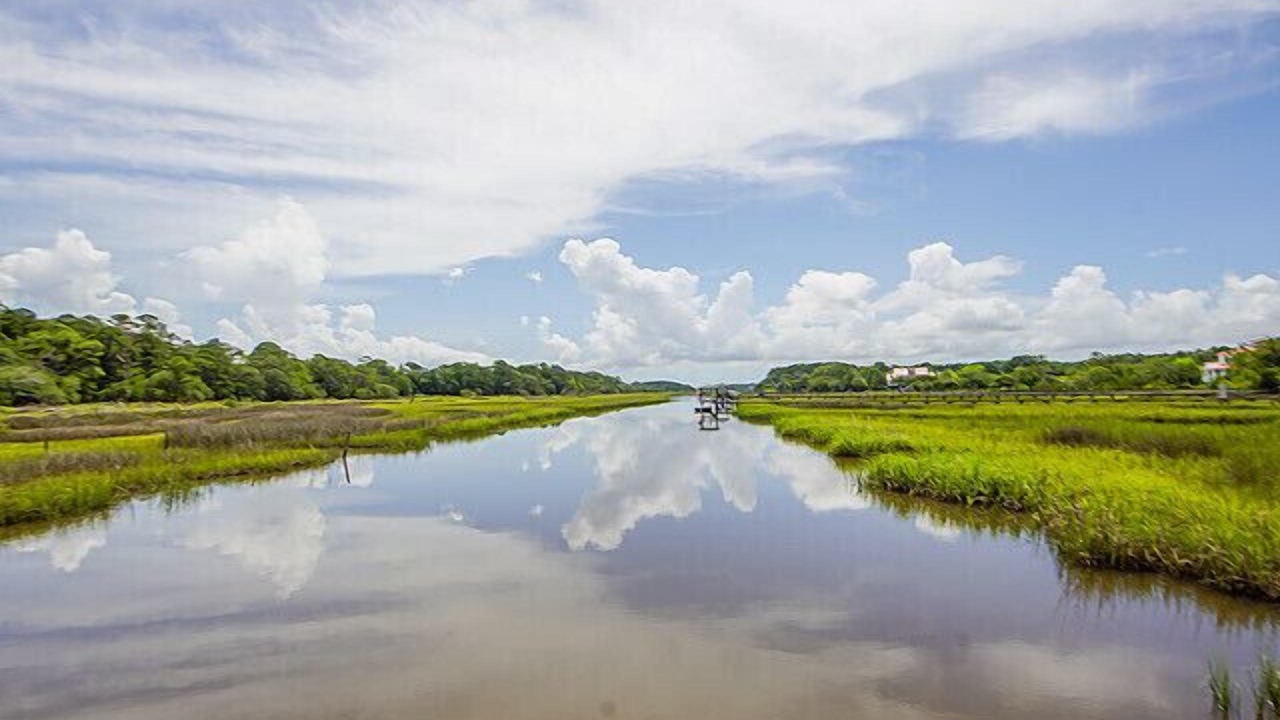 Photo of Others in Johns Island