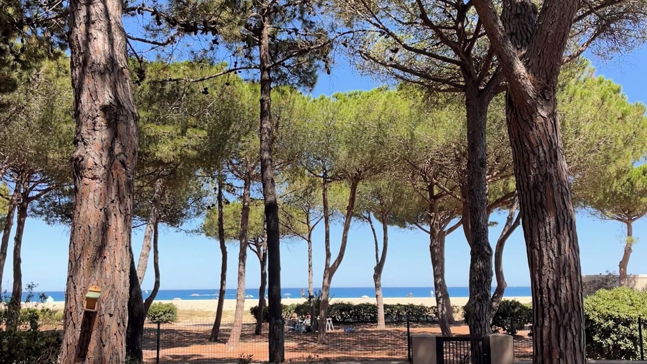 Photo of Outdoor in Argeles Plage