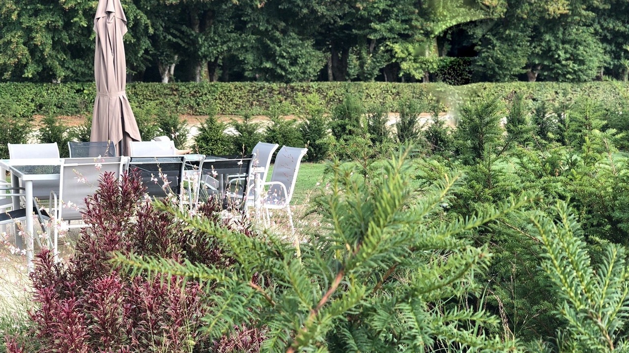Photo of Outdoor in Azay-sur-Cher