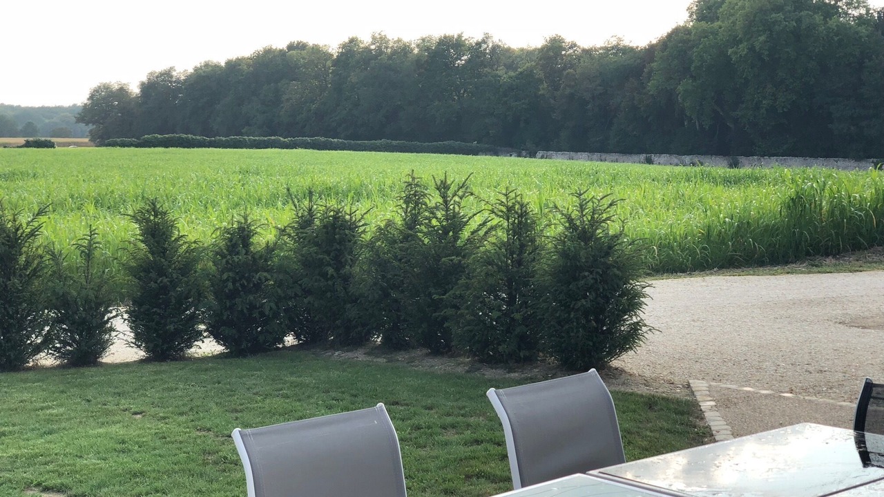 Photo of Outdoor in Azay-sur-Cher