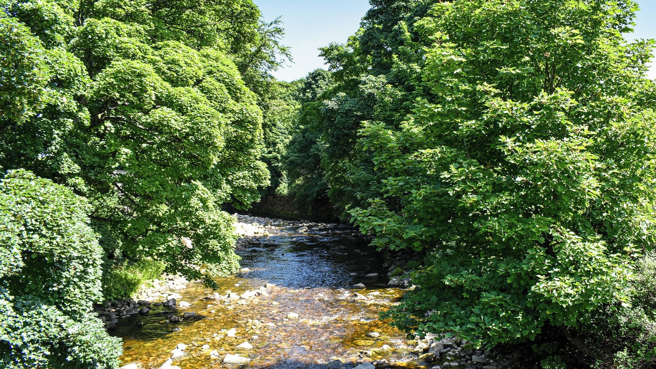 Photo of Others in Eastgate