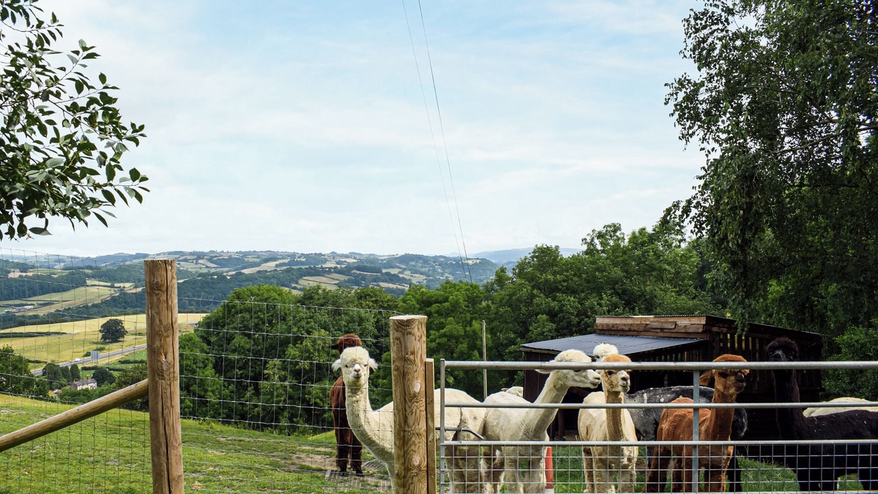 Photo of Others in Newtown