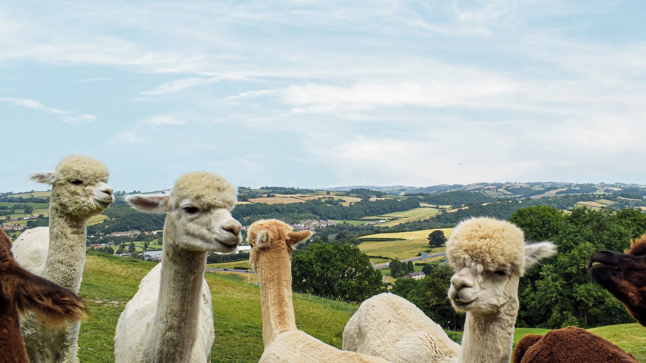 Photo of Others in Newtown