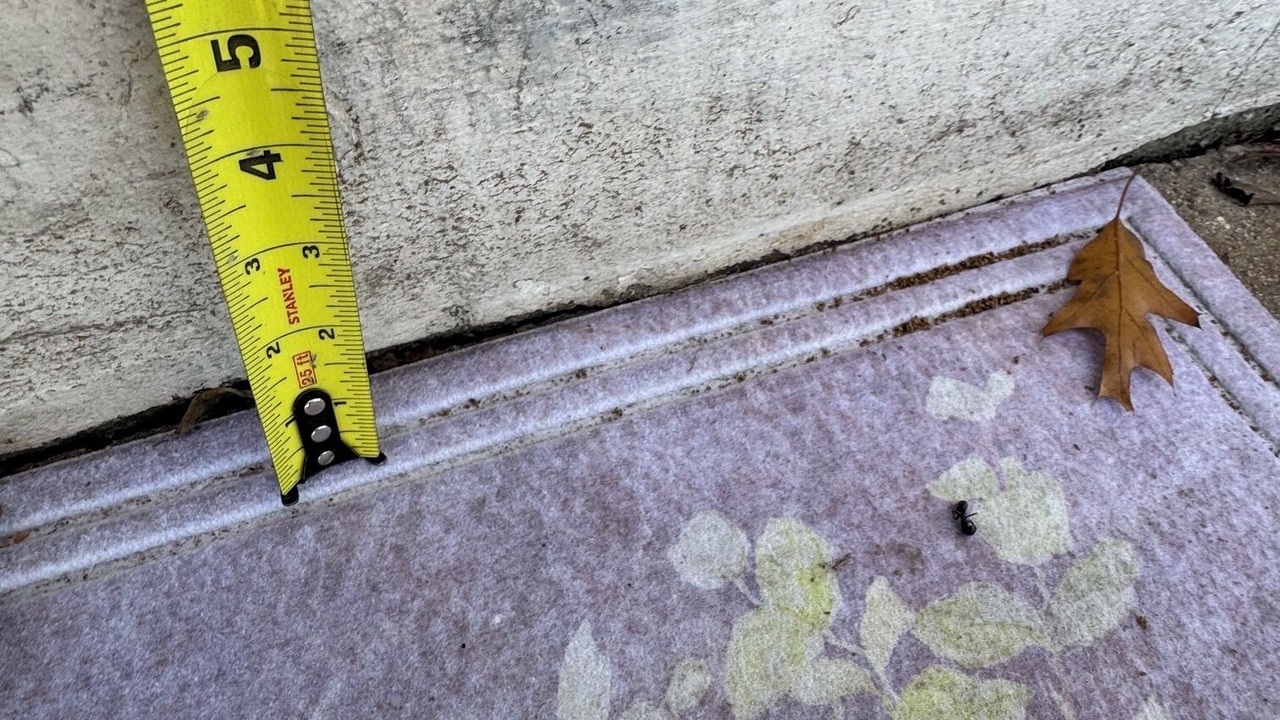 Photo of Outdoor in Crestline