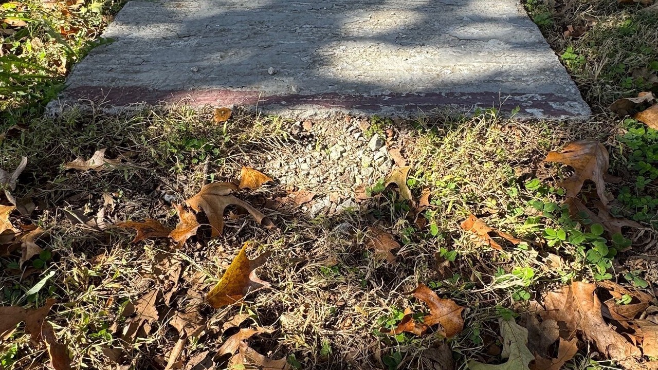 Photo of Outdoor in Crestline