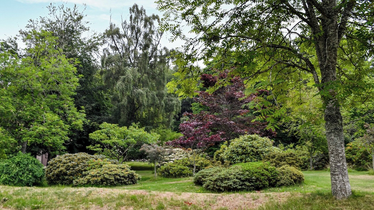 Photo of Outdoor in Inverurie