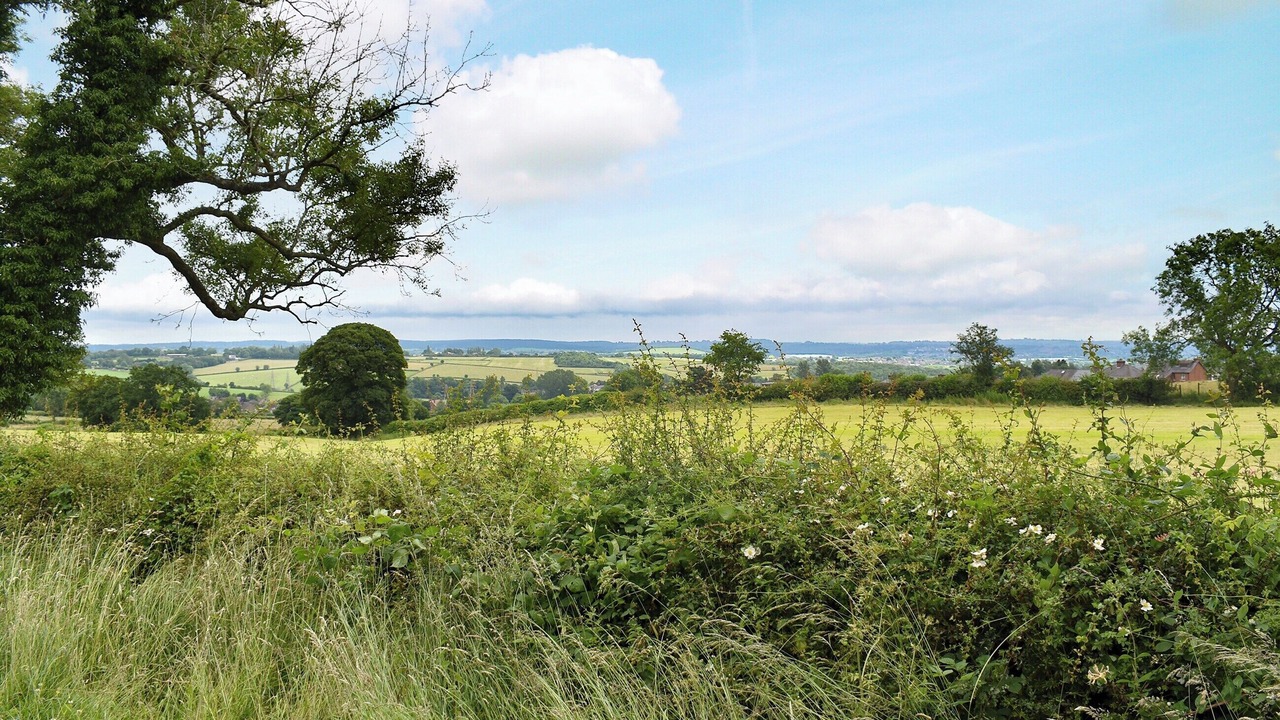 Photo of Others in Ripley