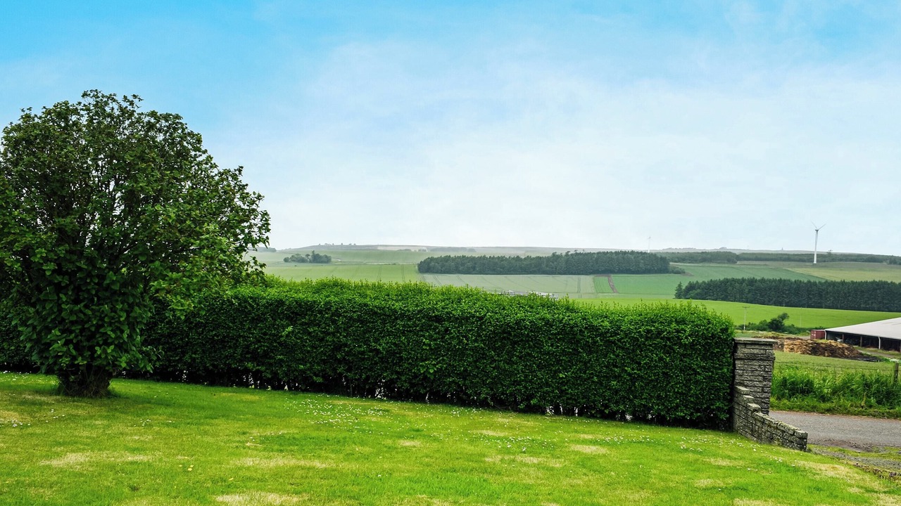 Photo of Others in Montrose