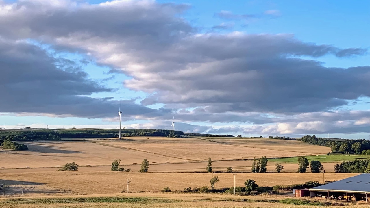 Photo of Others in Montrose