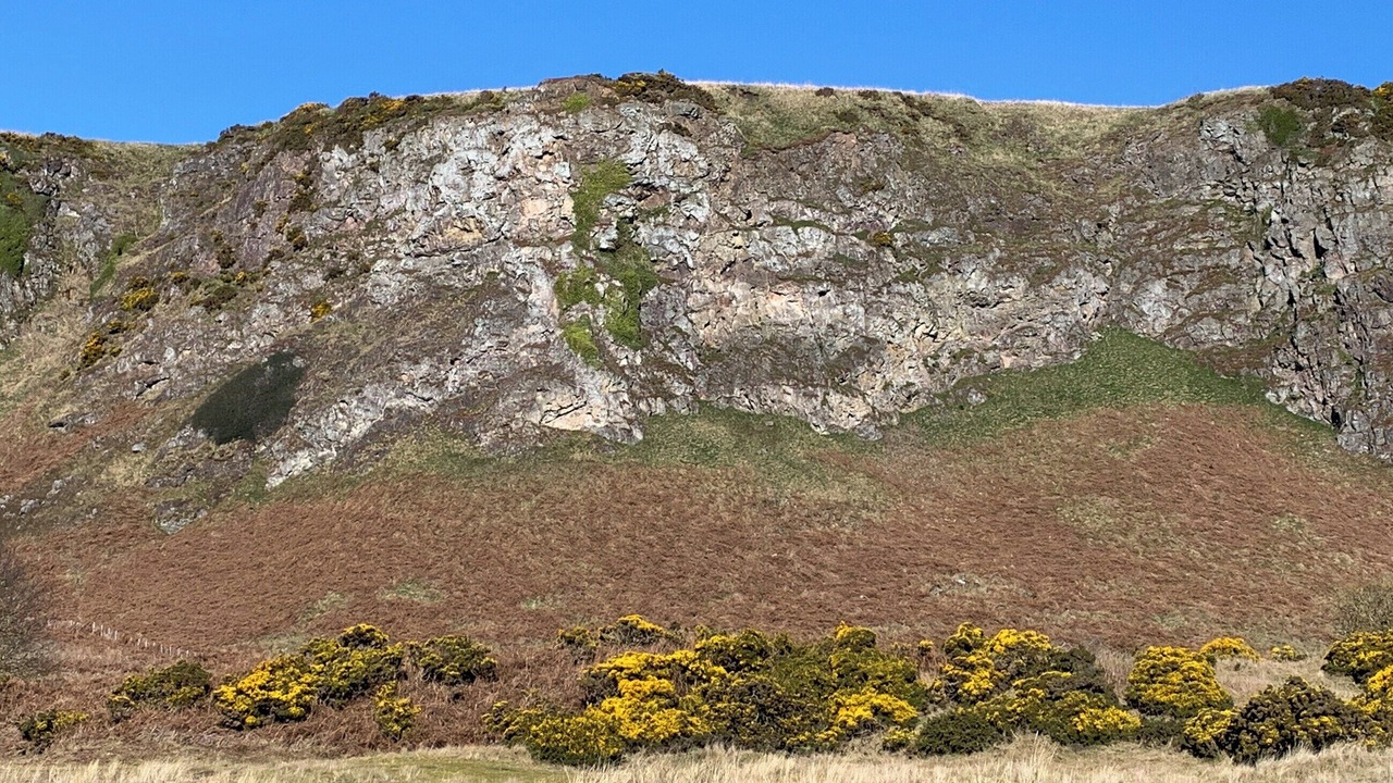 Photo of Others in Montrose