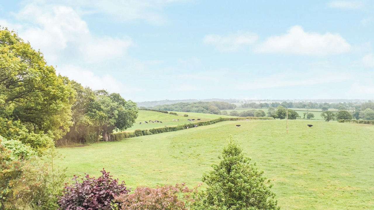 Photo of Others in Halfway House