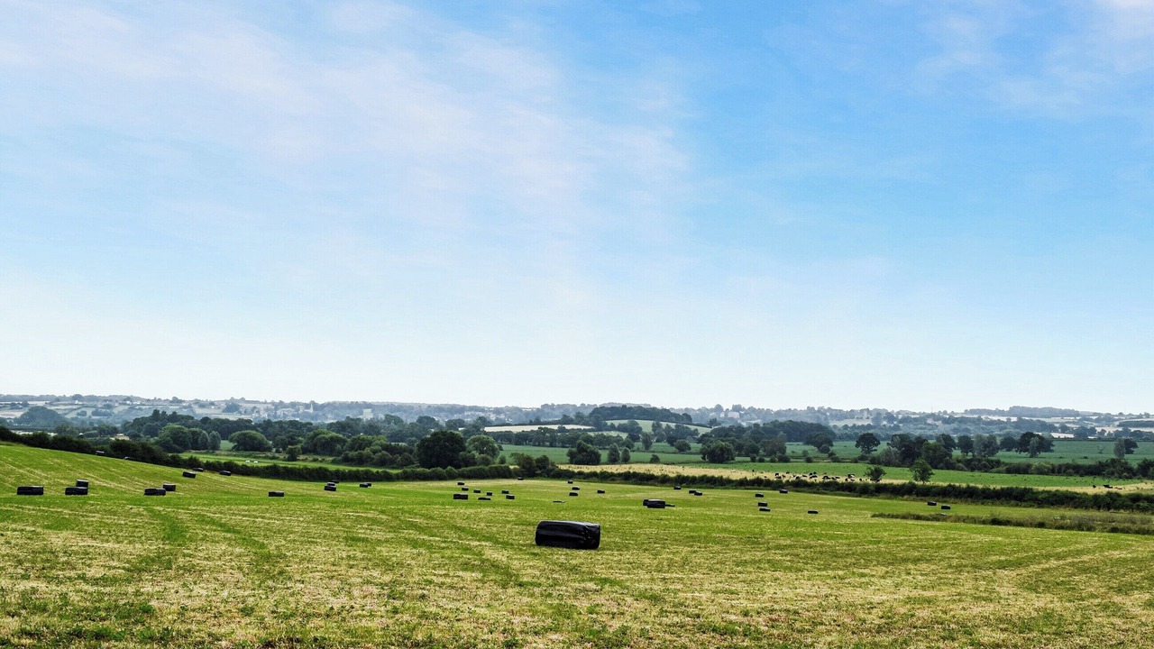 Photo of Others in Medbourne