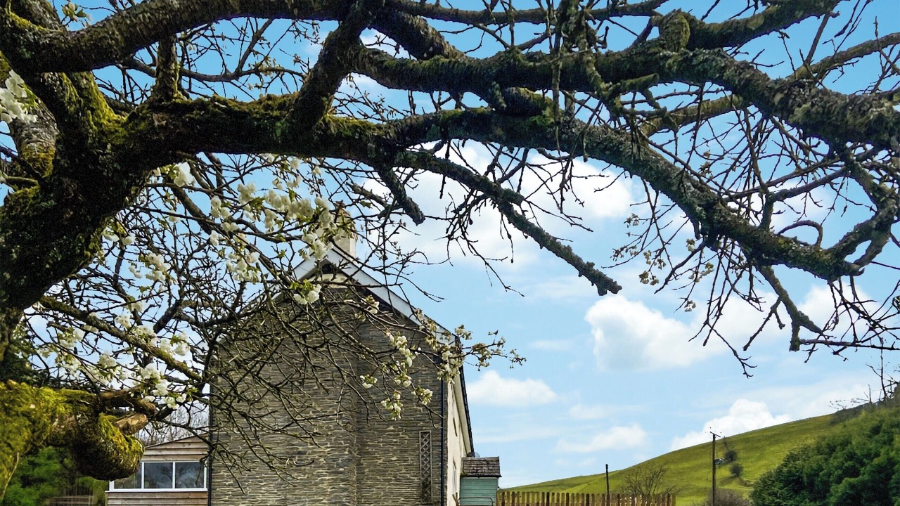 Photo of Outdoor in Tirabad