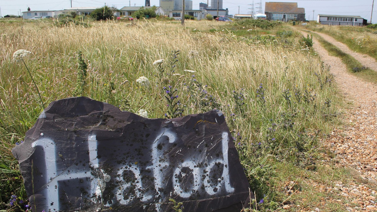 Photo of Others in Dungeness