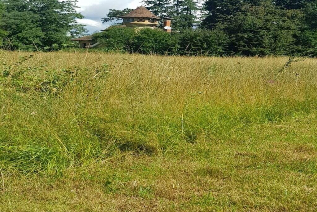 Photo of Outdoor in Vendenesse-sur-Arroux