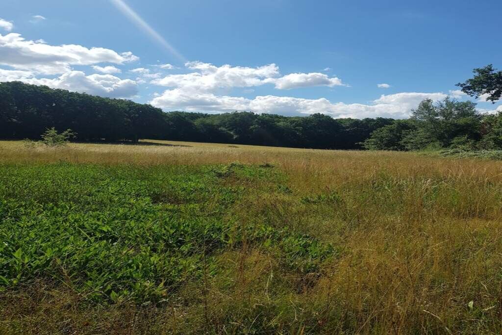 Photo of Outdoor in Vendenesse-sur-Arroux