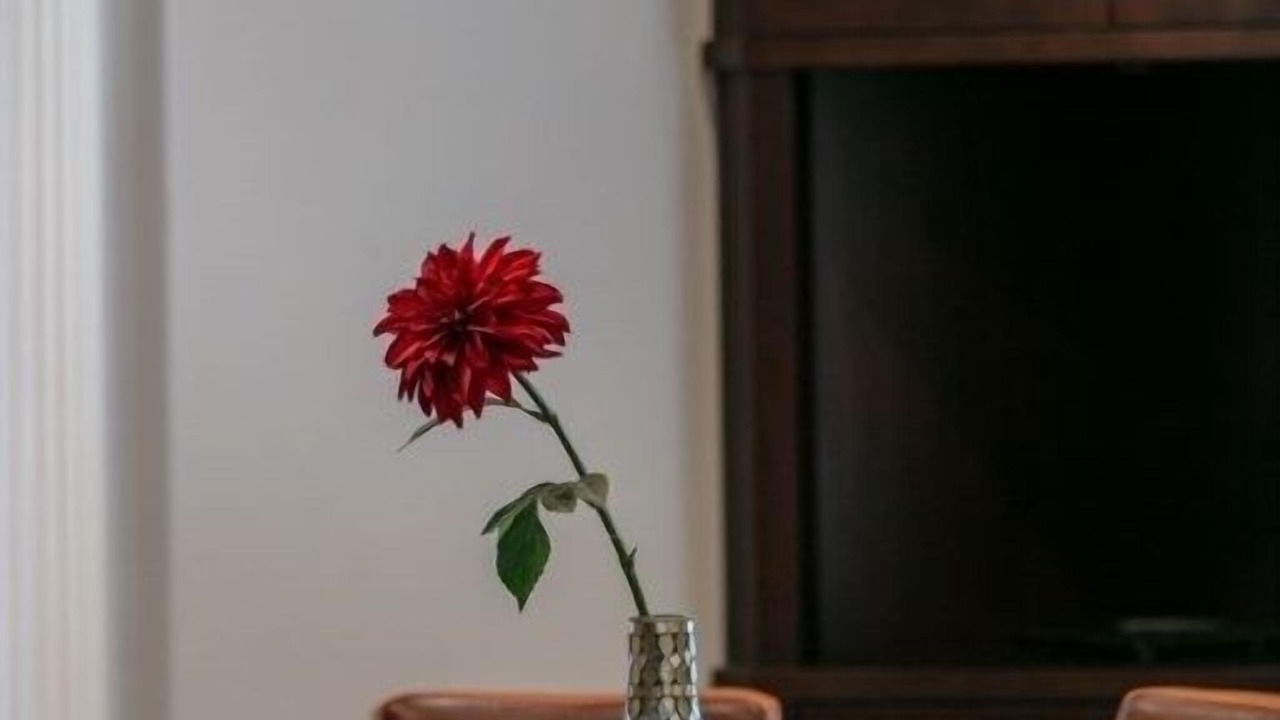 Photo of Others in Plantation