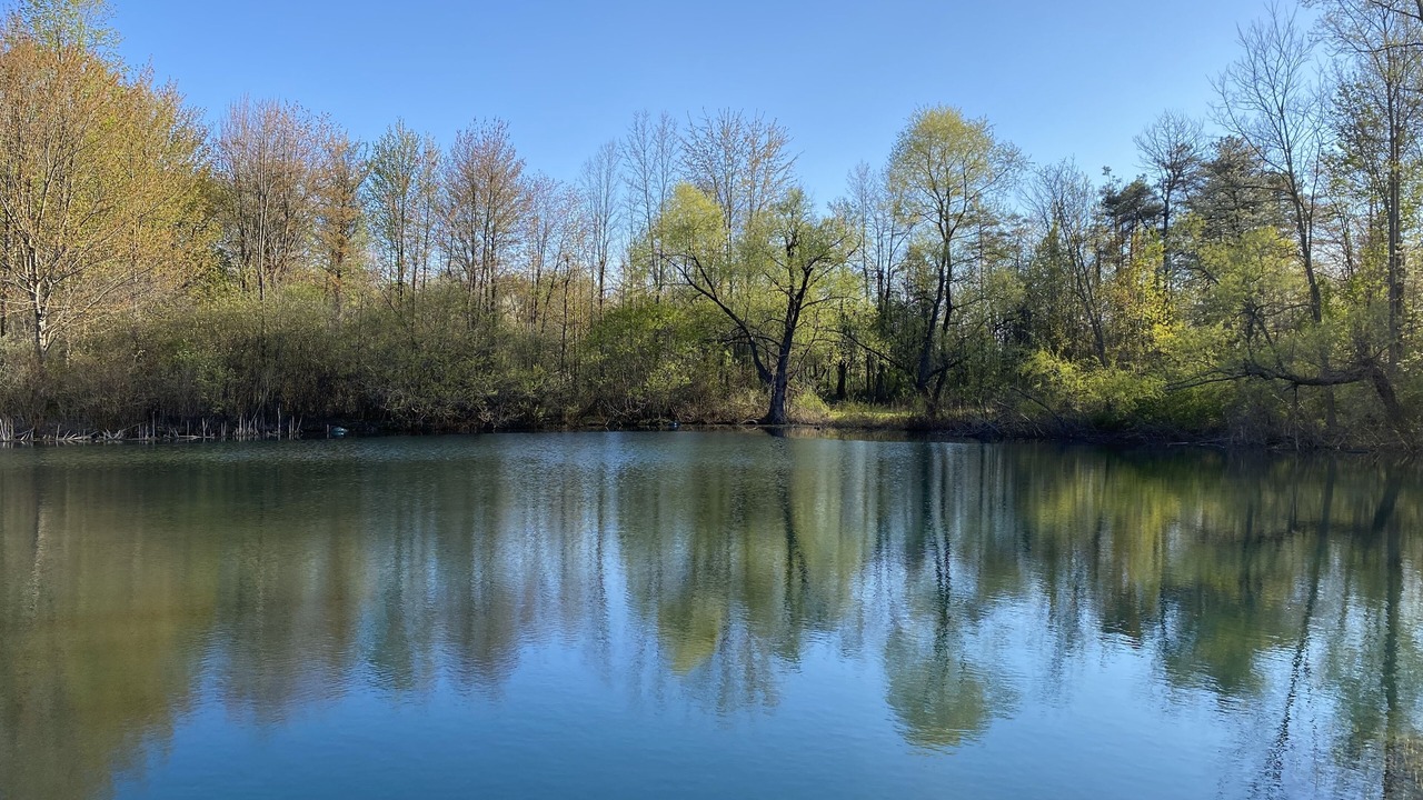 Photo of Outdoor in South Butler