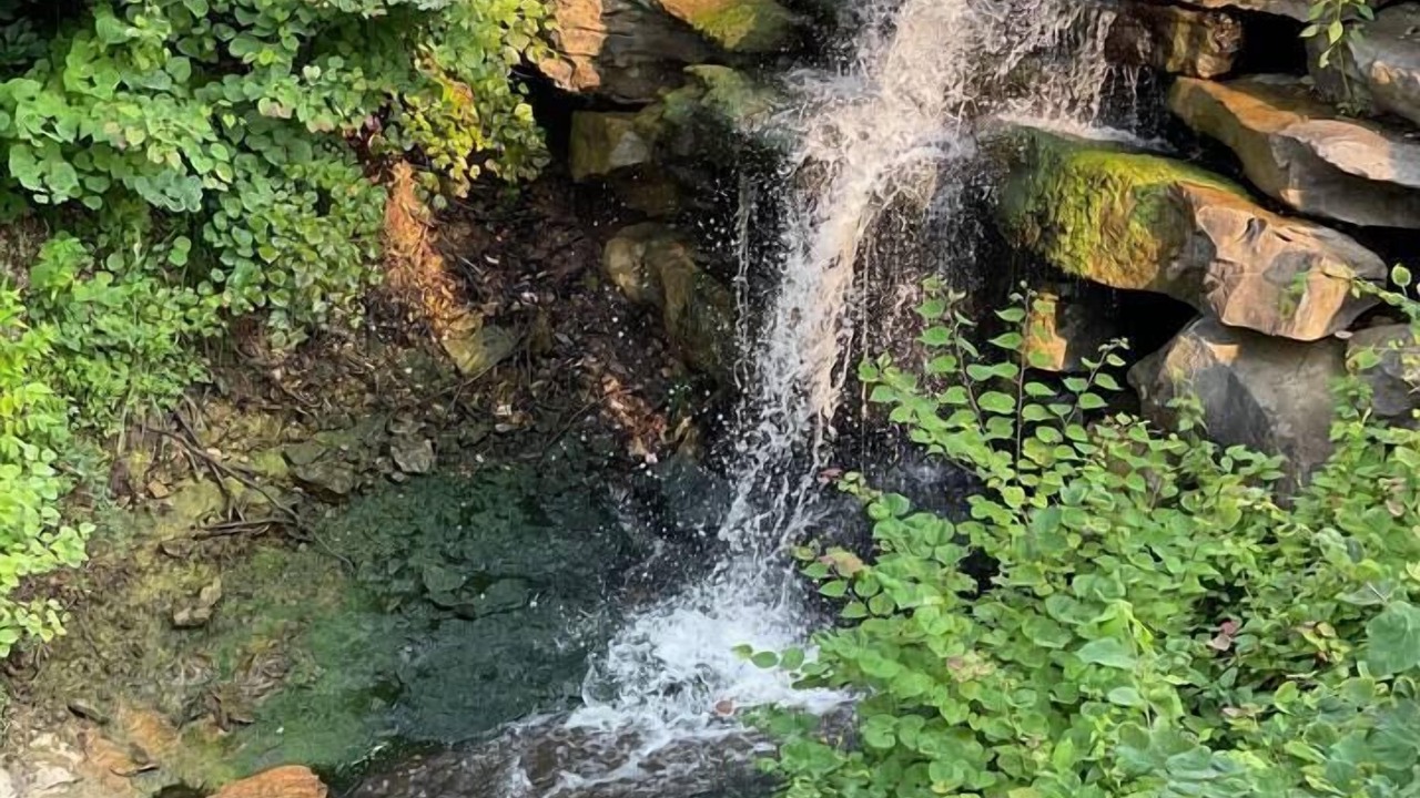 Photo of Outdoor in Vinita