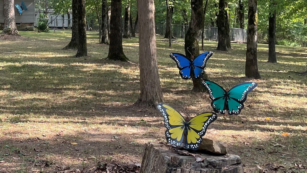 Photo of Outdoor in Morrilton