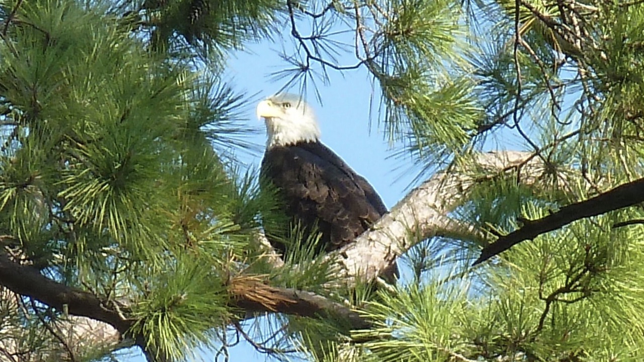 Photo of Others in Huntington