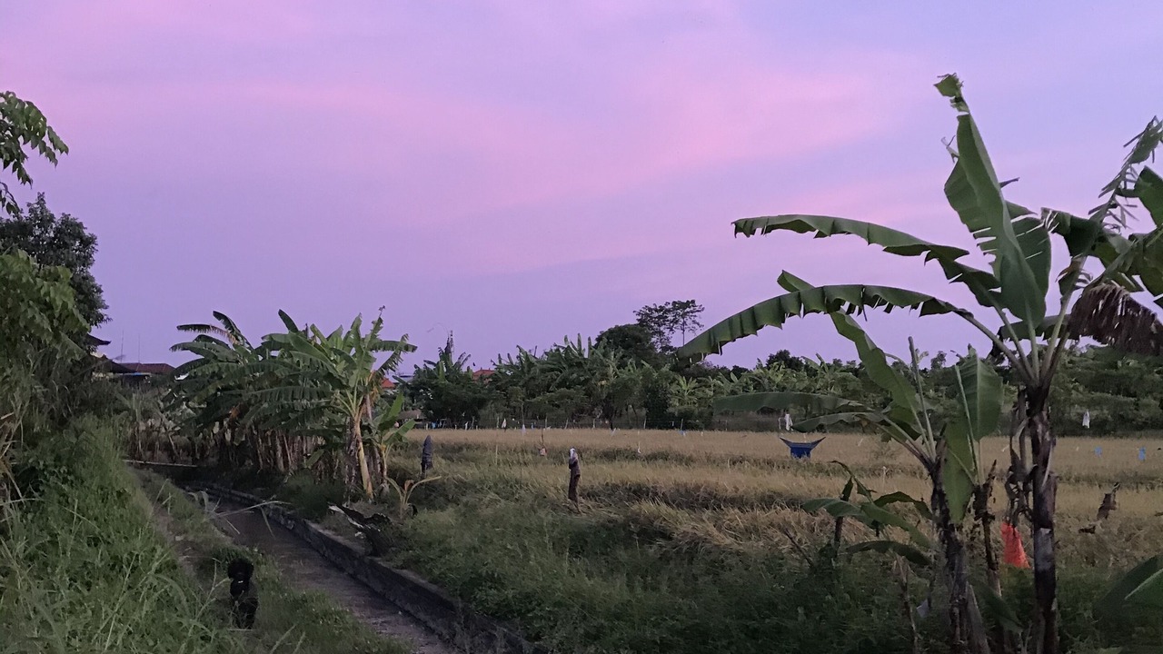 Photo of Outdoor in Kerobokan