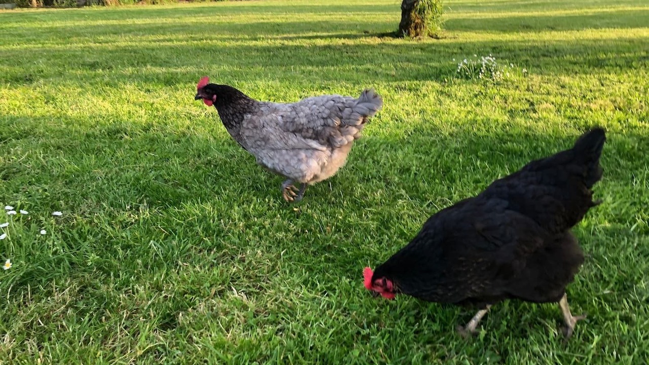 Photo of Outdoor in Longny les Villages