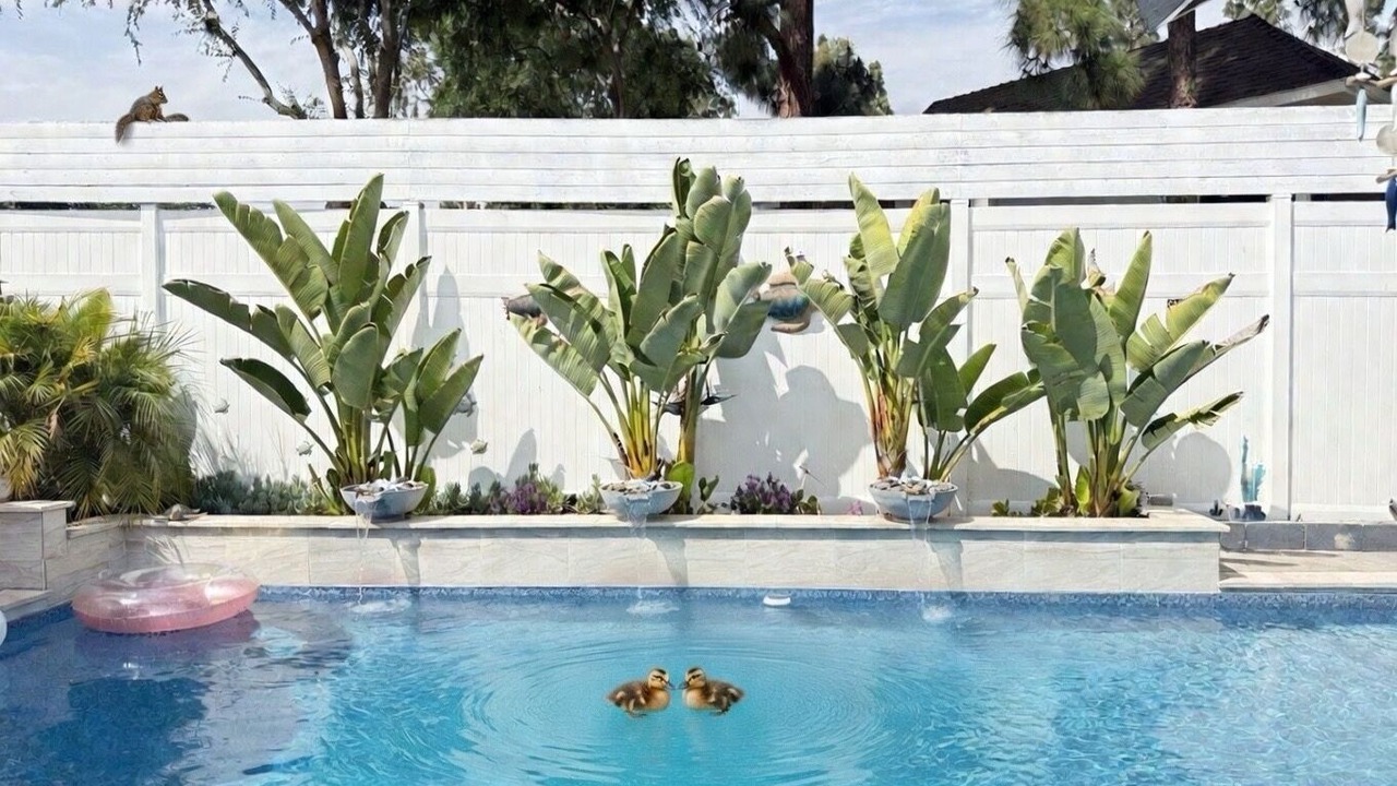Photo of Outdoor in Laguna Hills