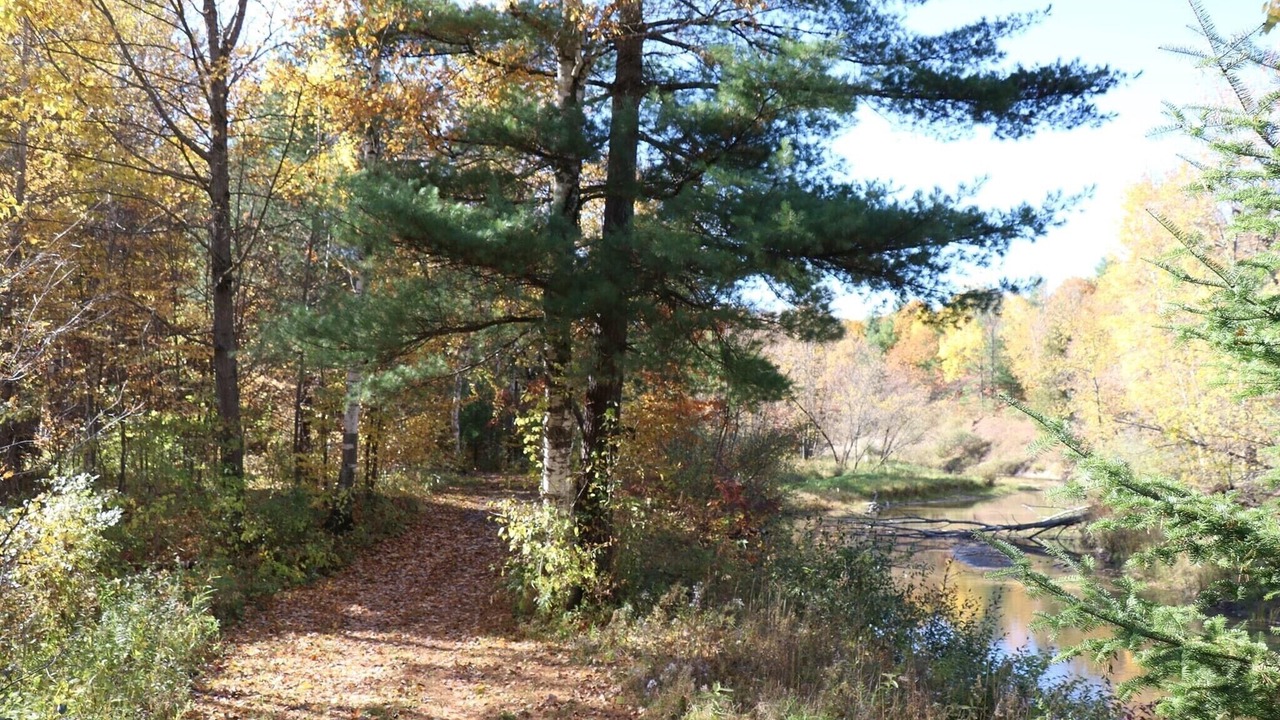 Photo of Others in Gladwin