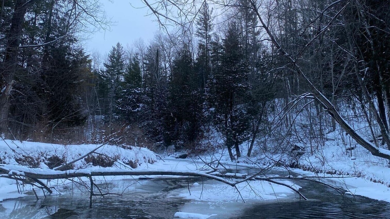 Photo of Others in Gladwin