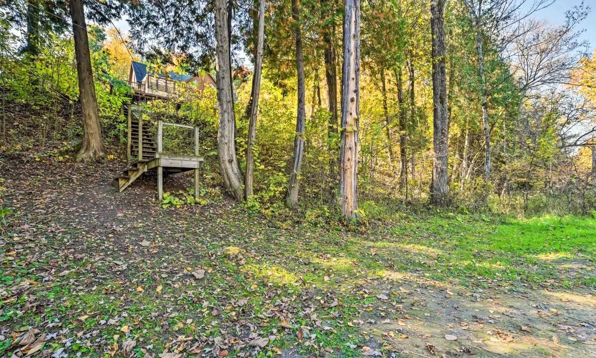 Photo of Outdoor in Gladwin