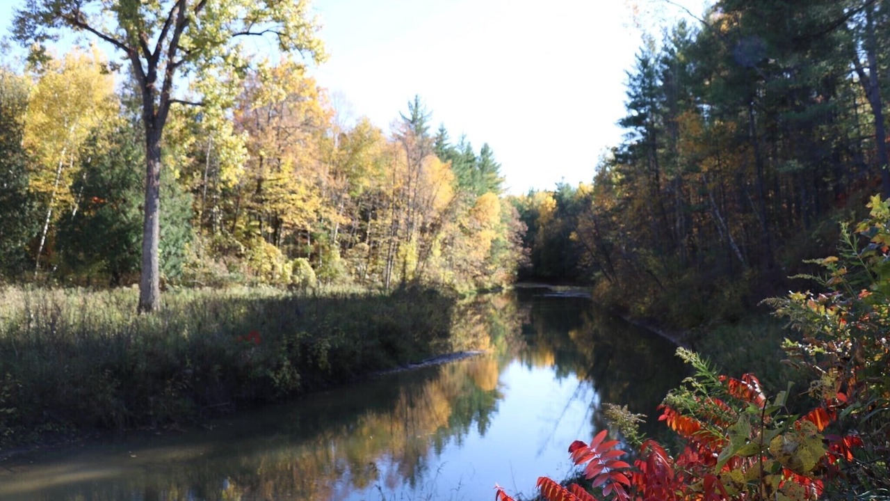 Photo of Others in Gladwin