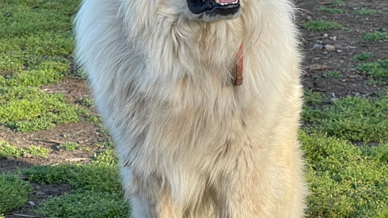 Photo of Others in Aumsville