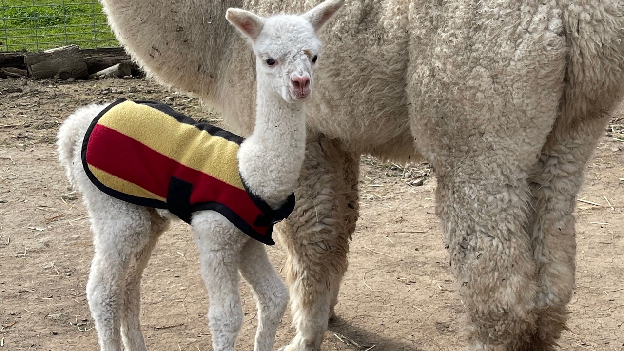 Photo of Others in Aumsville