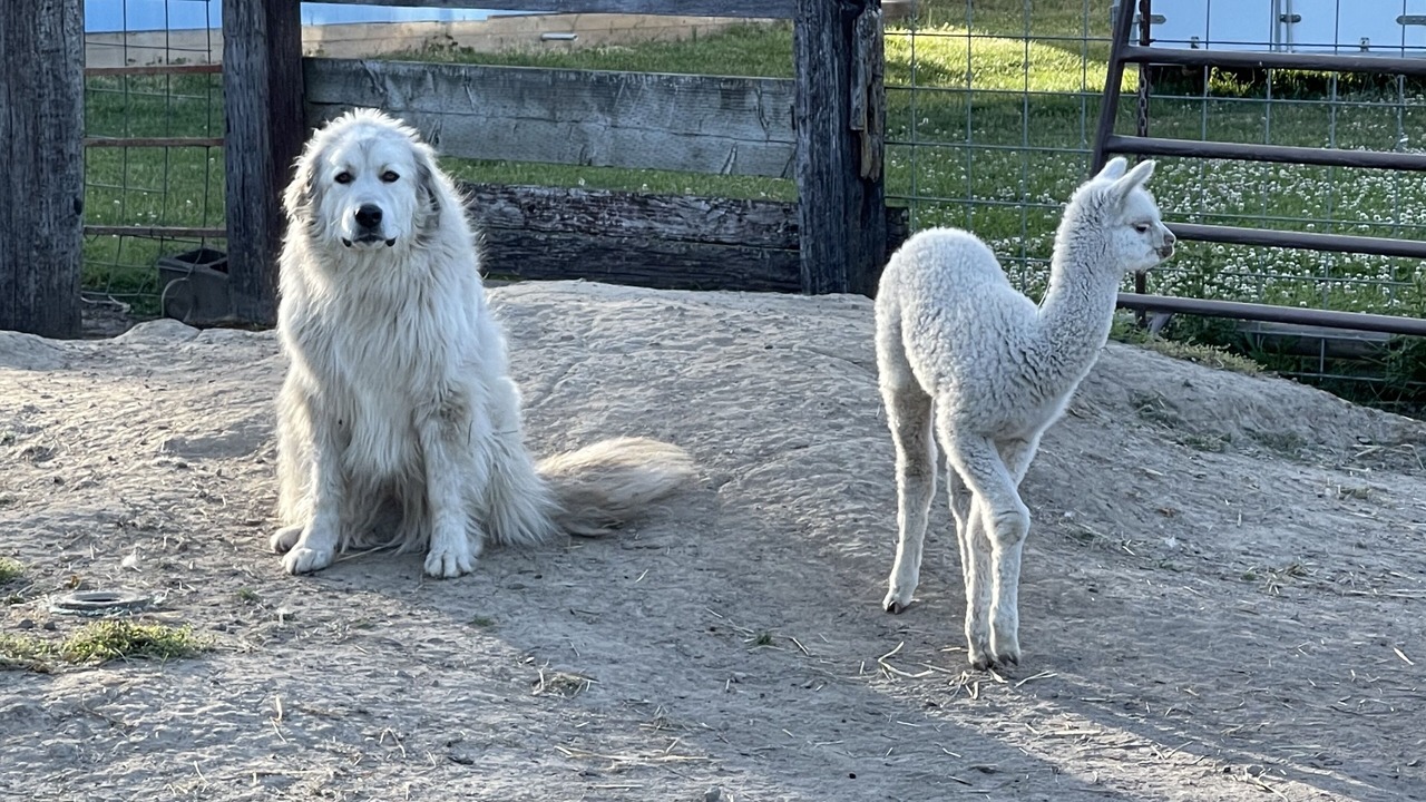 Photo of Others in Aumsville