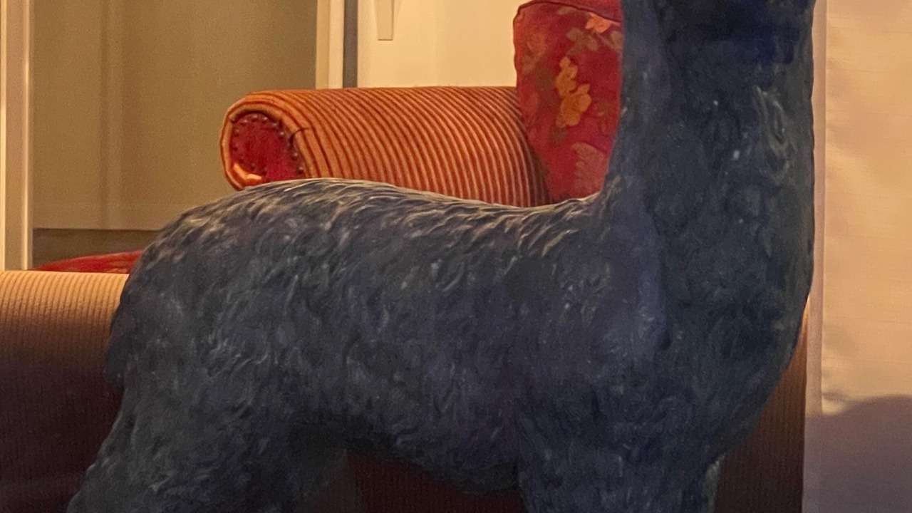 Photo of Others in Aumsville