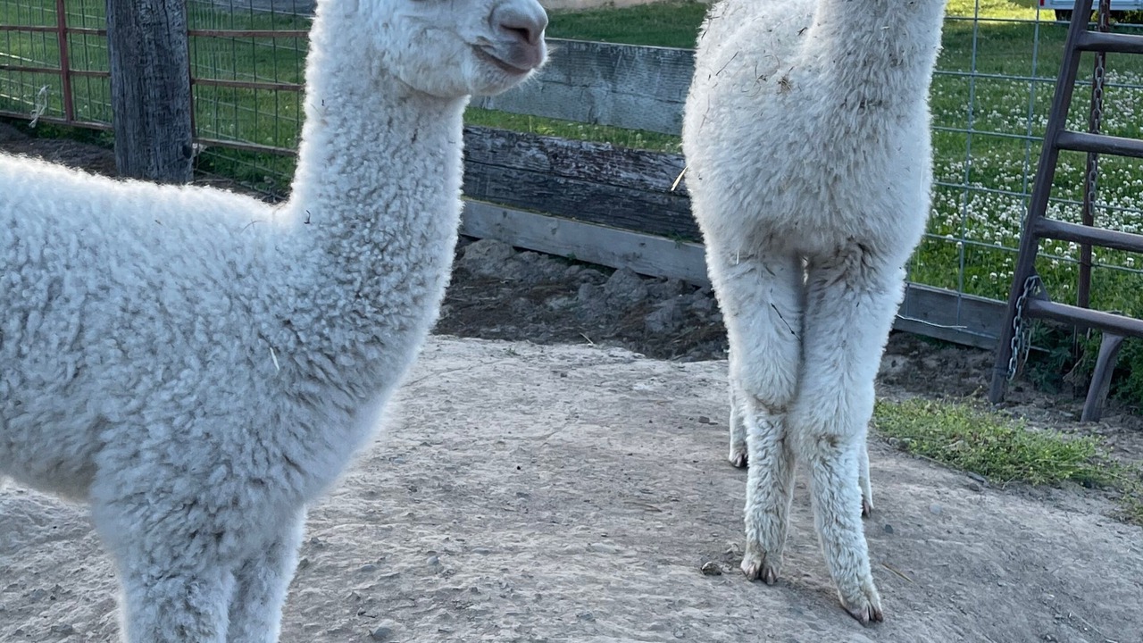 Photo of Outdoor in Aumsville