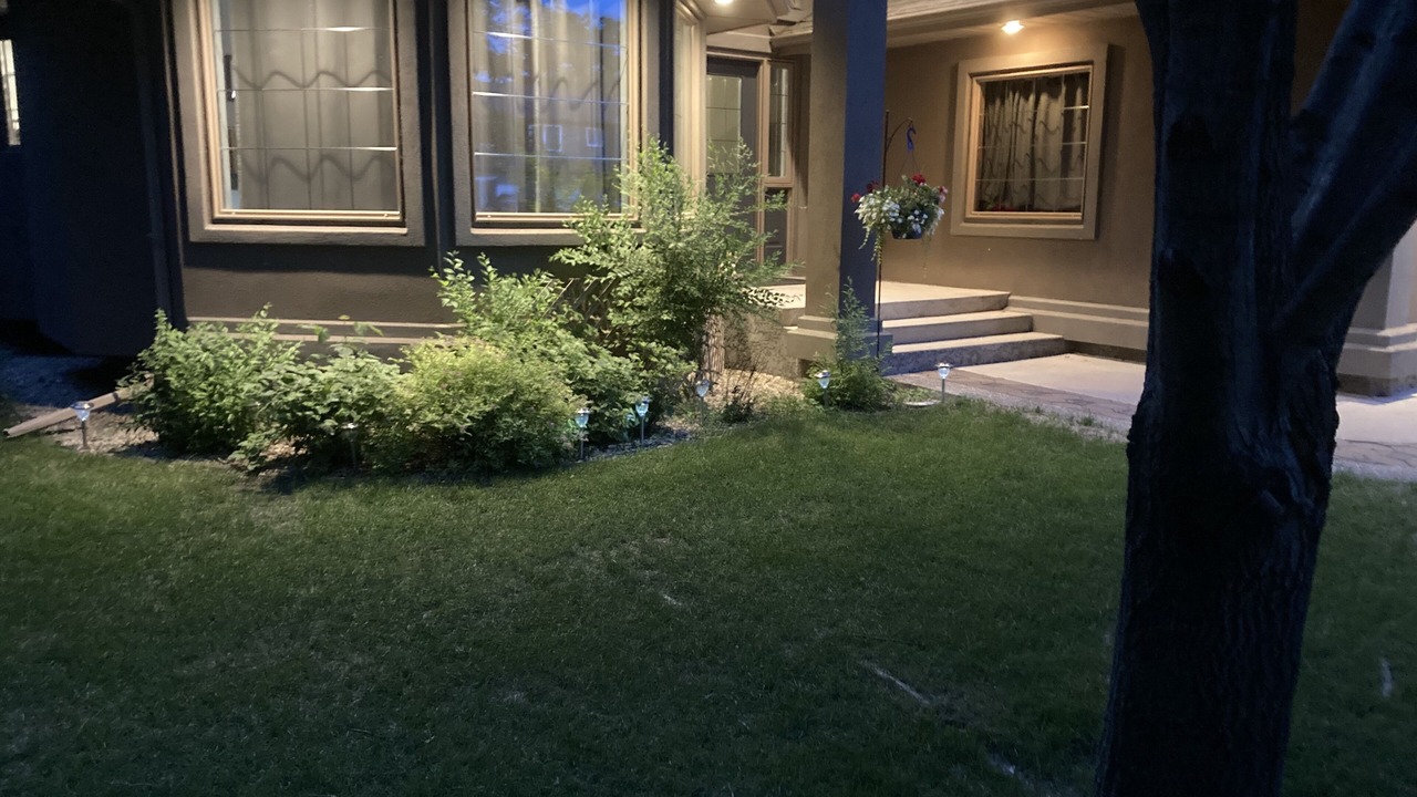 Photo of Outdoor in New Bothwell