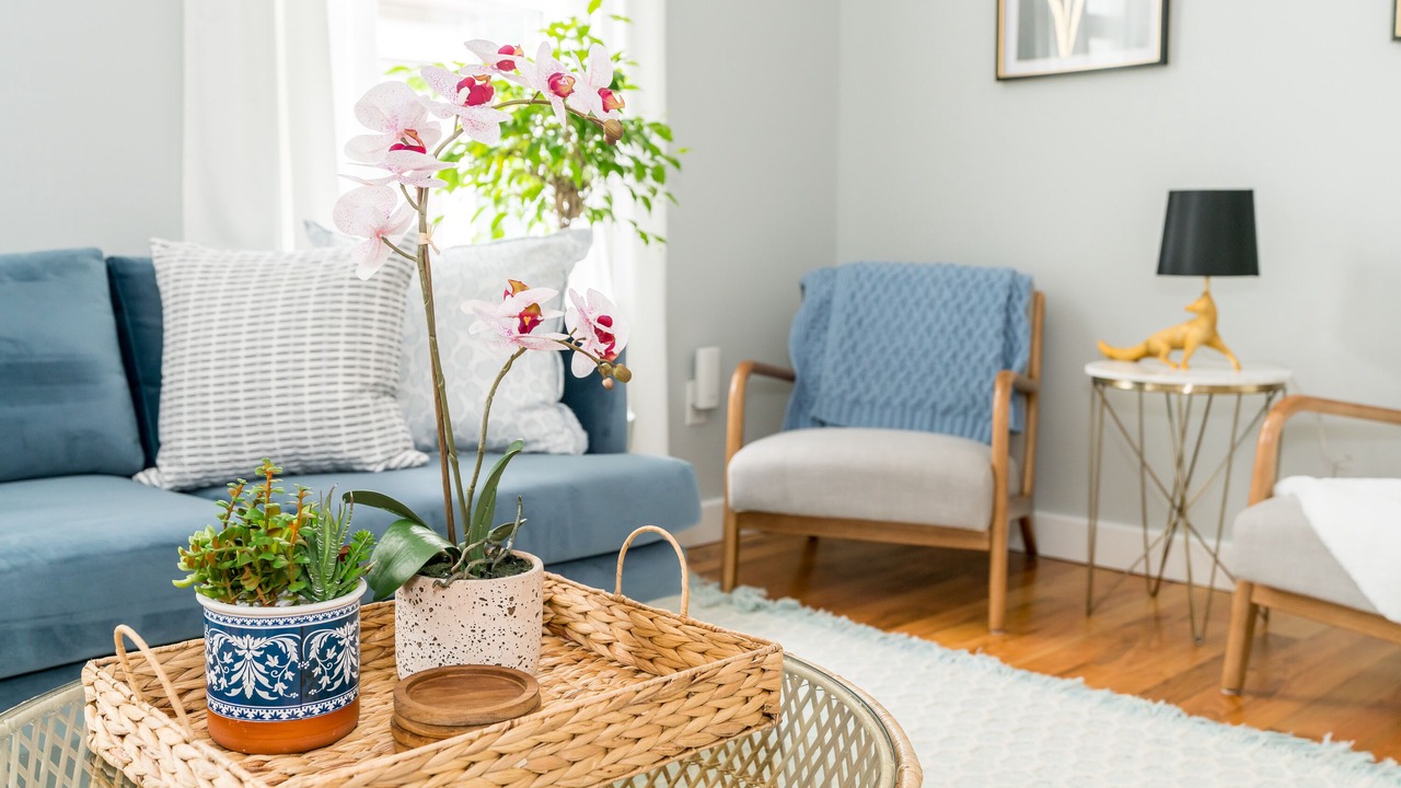 Photo of Others in New Haven