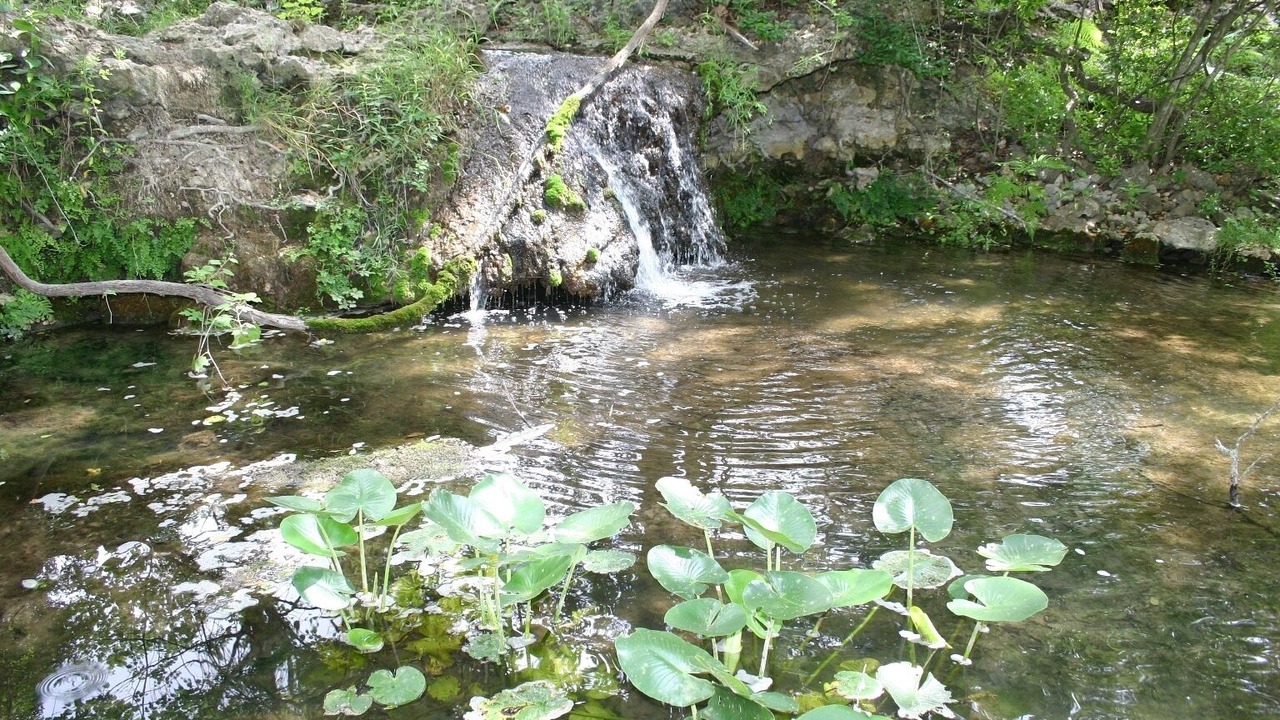 Photo of Others in Bell County