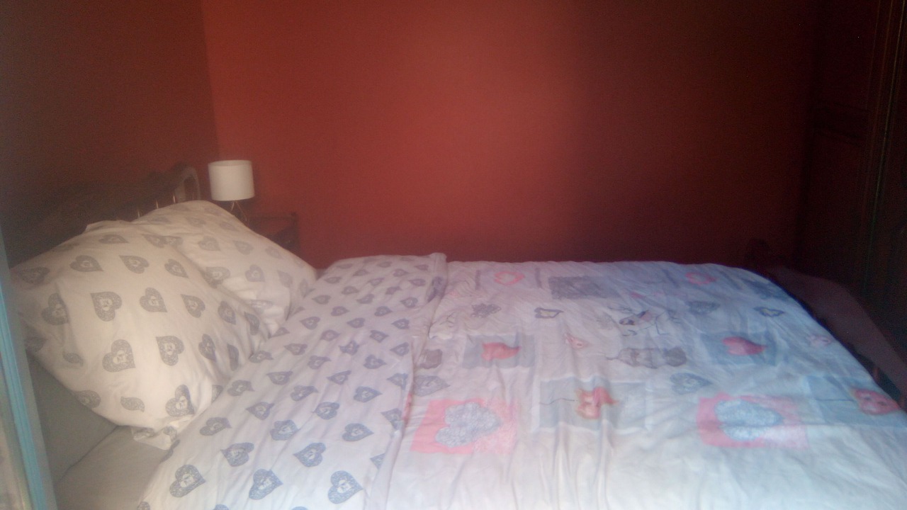 Photo of Bedroom in Saint-Rabier