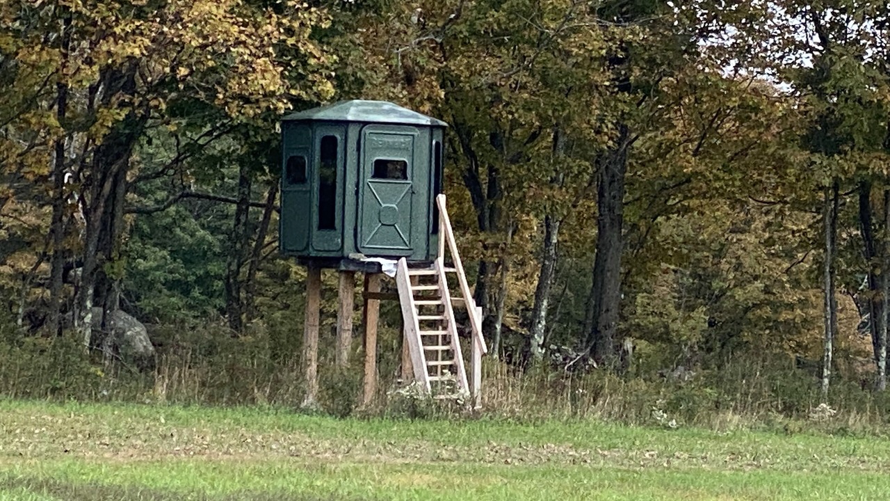 Photo of Others in Oliverea