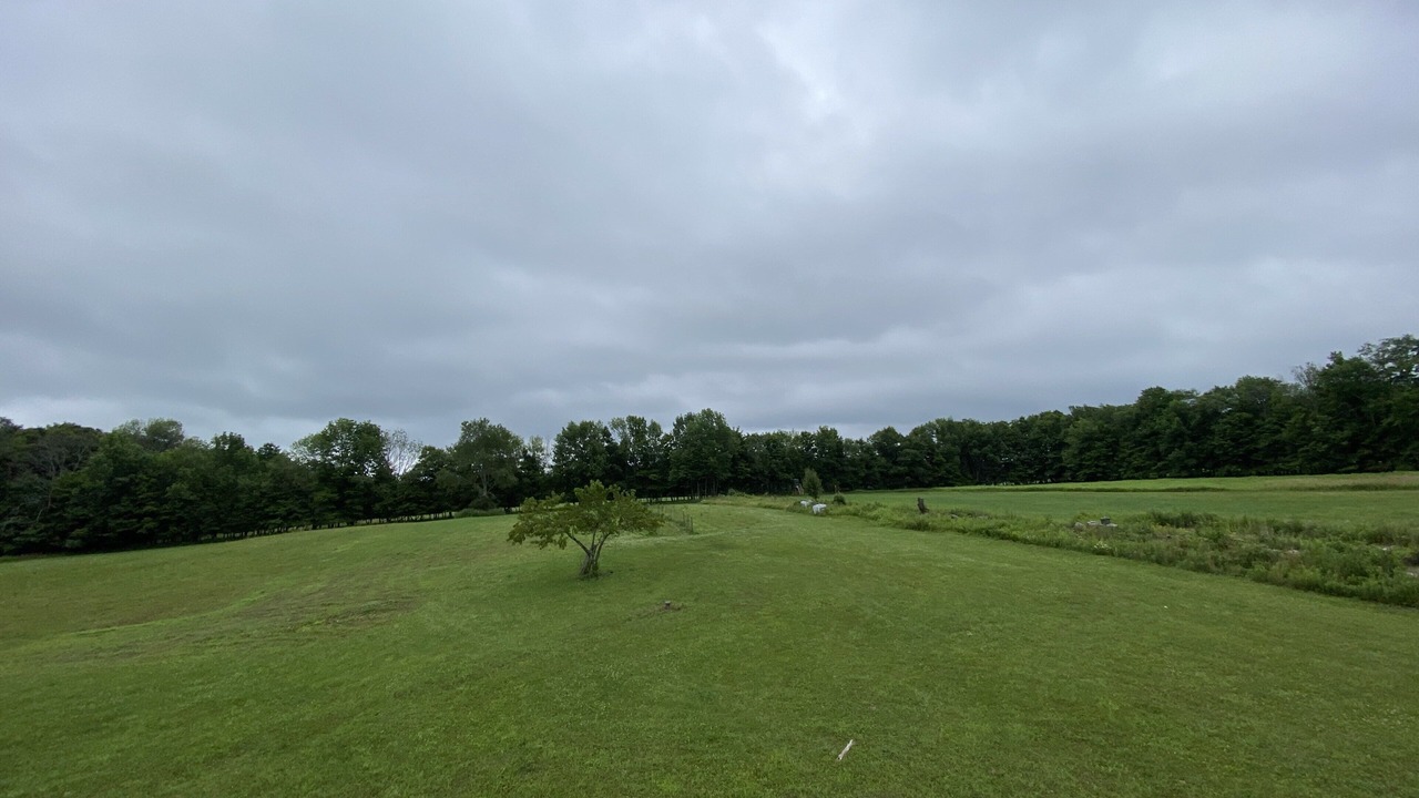 Photo of Others in Oliverea