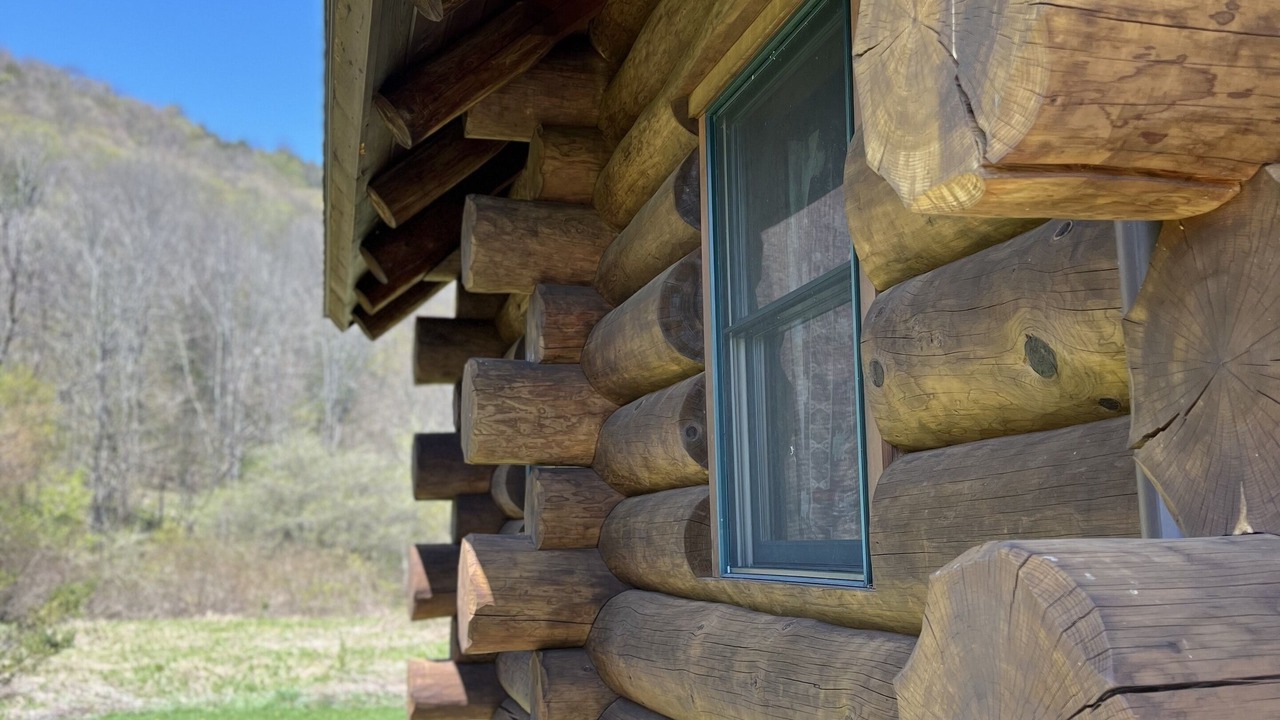 Photo of Outdoor in Starlight