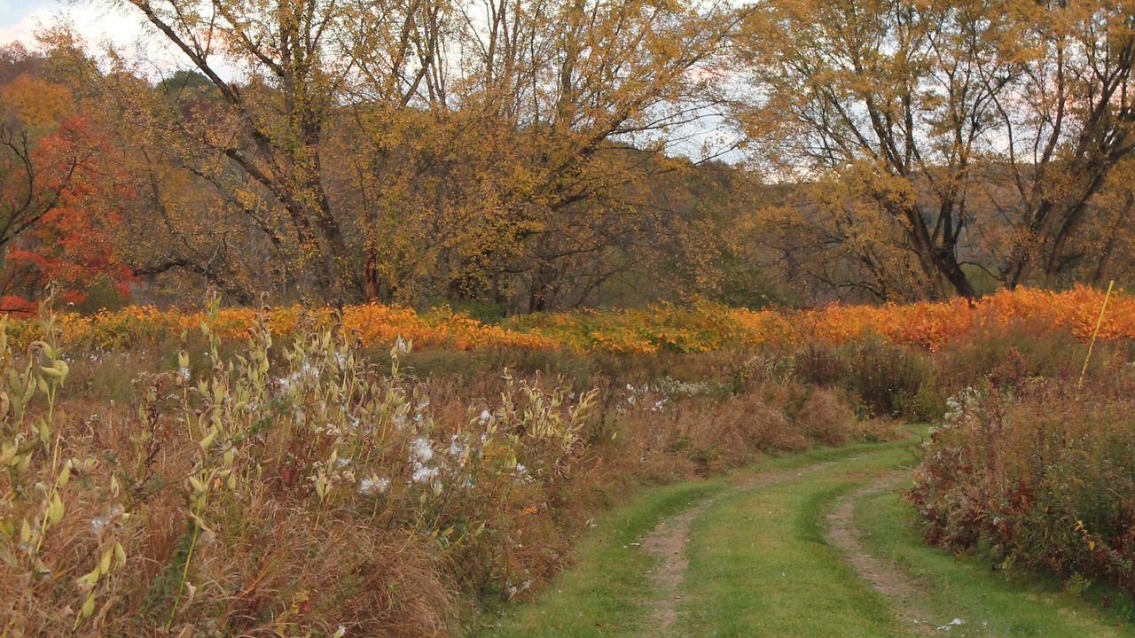 Photo of Others in Starlight