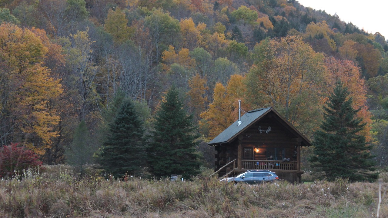 Photo of Others in Starlight