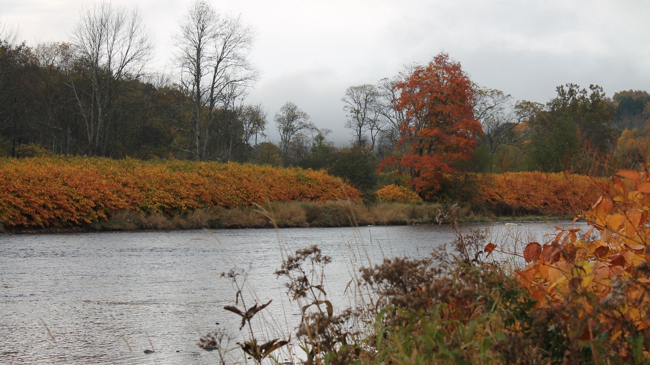 Photo of Outdoor in Starlight