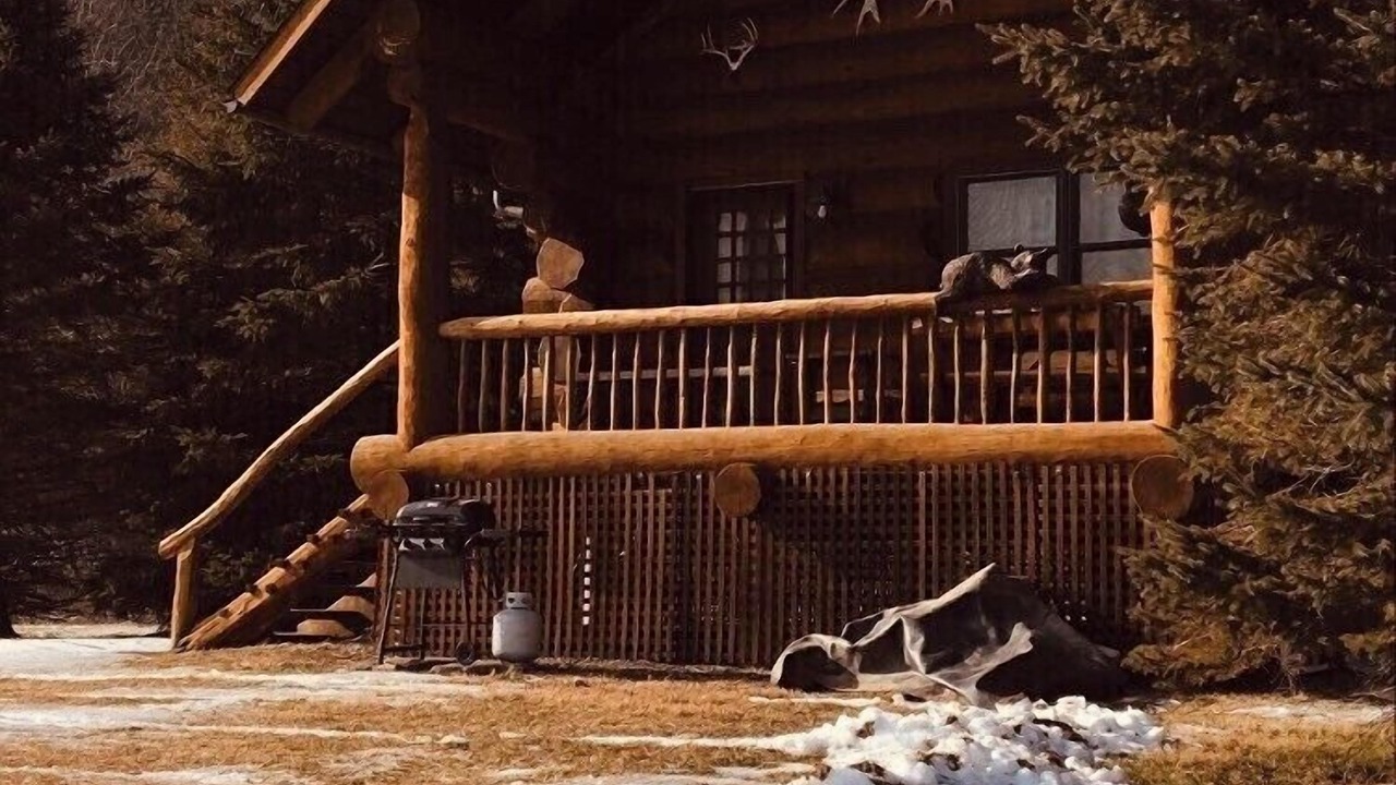 Photo of Outdoor in Starlight