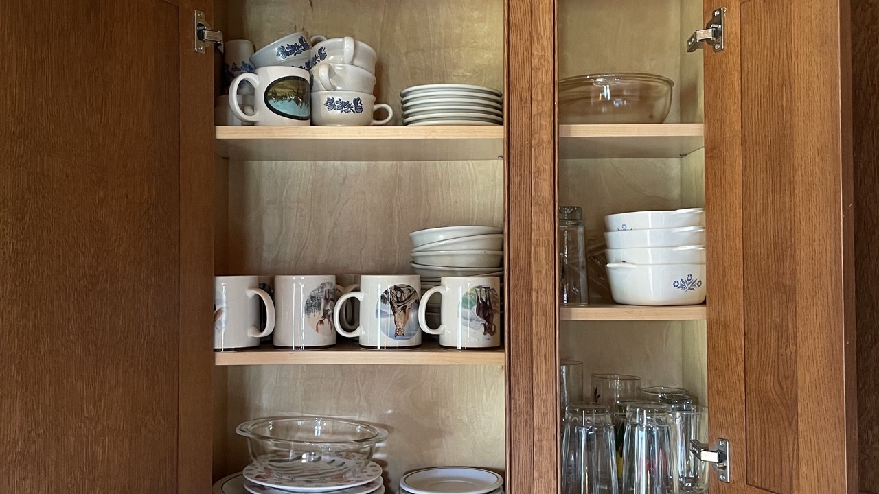 Photo of Others in Starlight