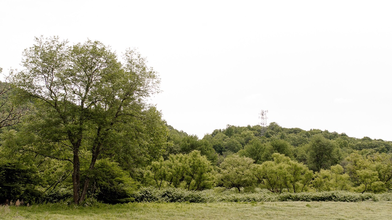 Photo of Outdoor in Starlight